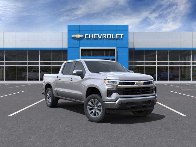 Model Image