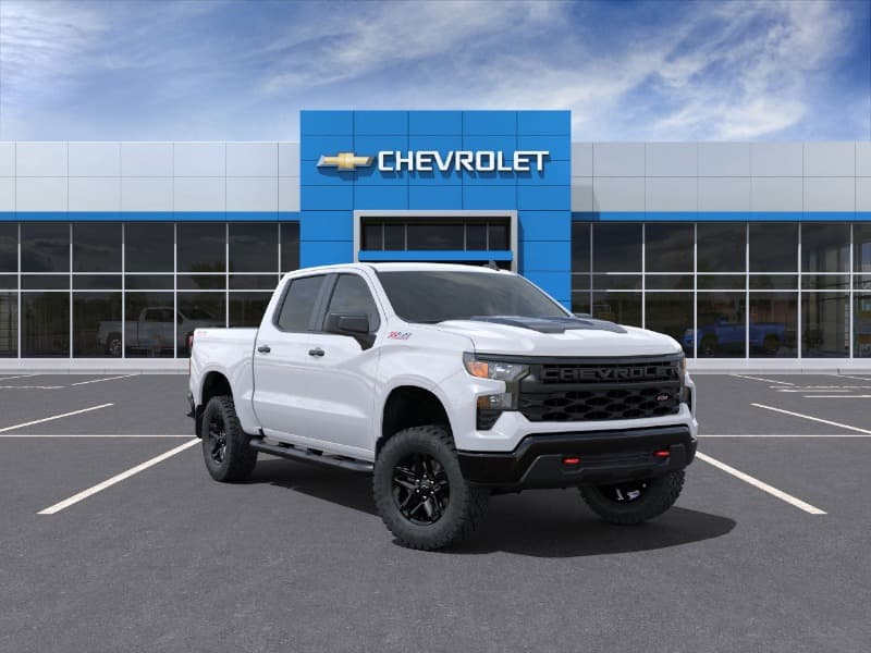 Model Image