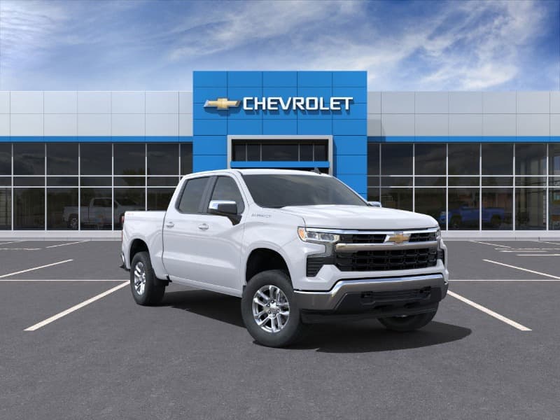 Model Image