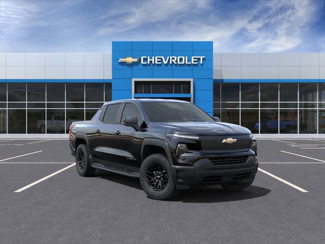 Model Image