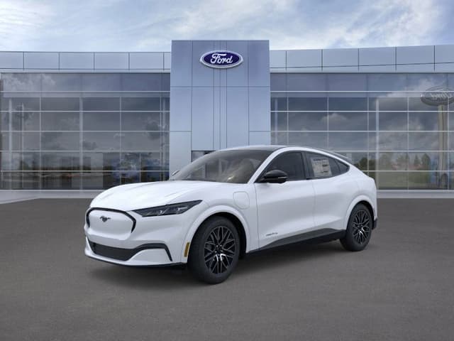 Model Image