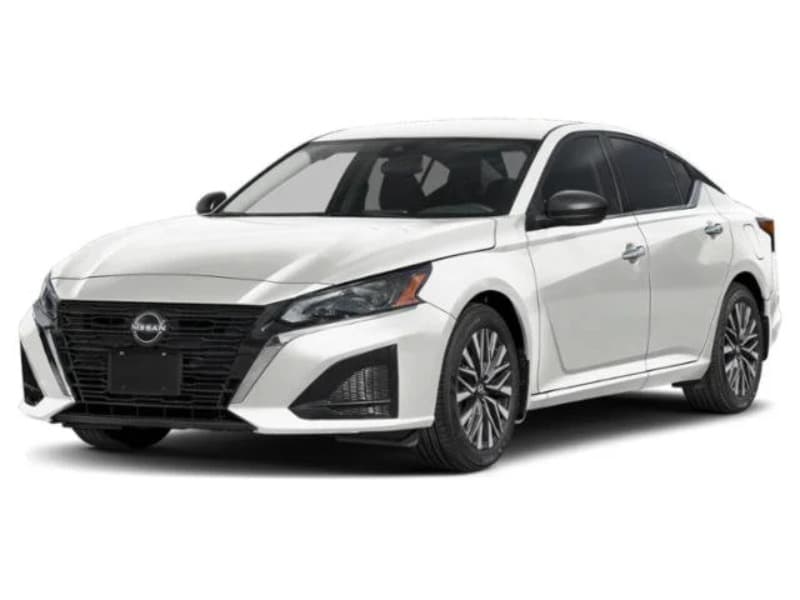 Model Image