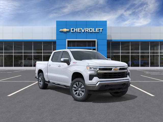 Model Image