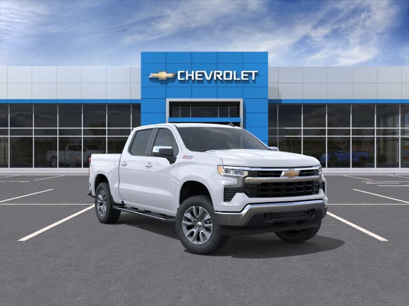 Model Image
