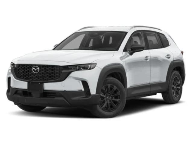 Model Image