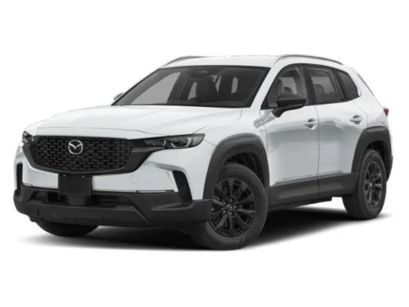 Model Image