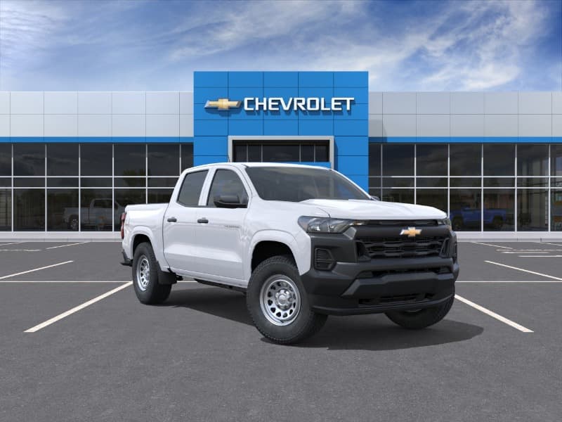 Model Image