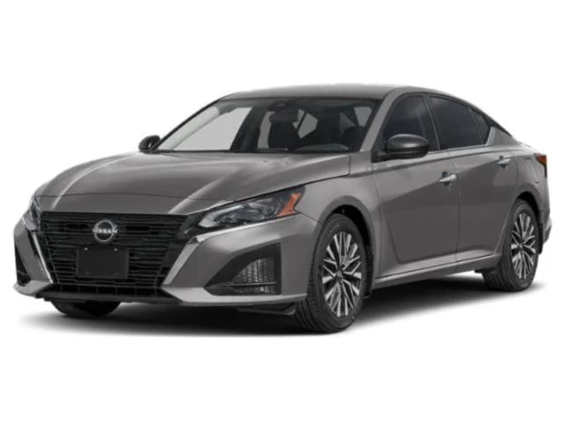 Model Image