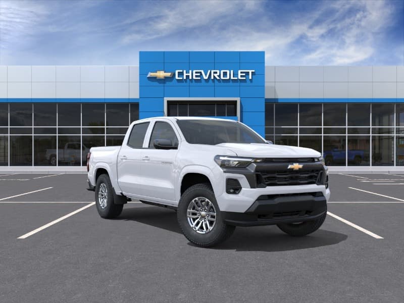 Model Image