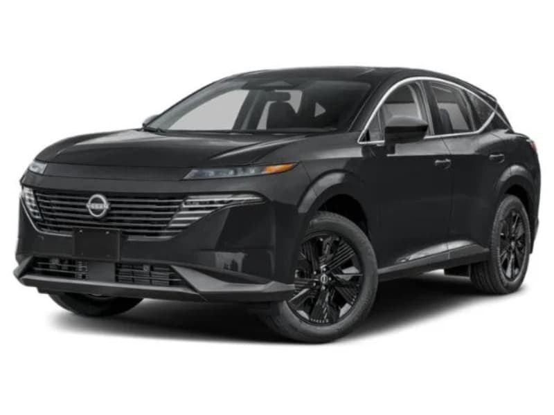 Model Image